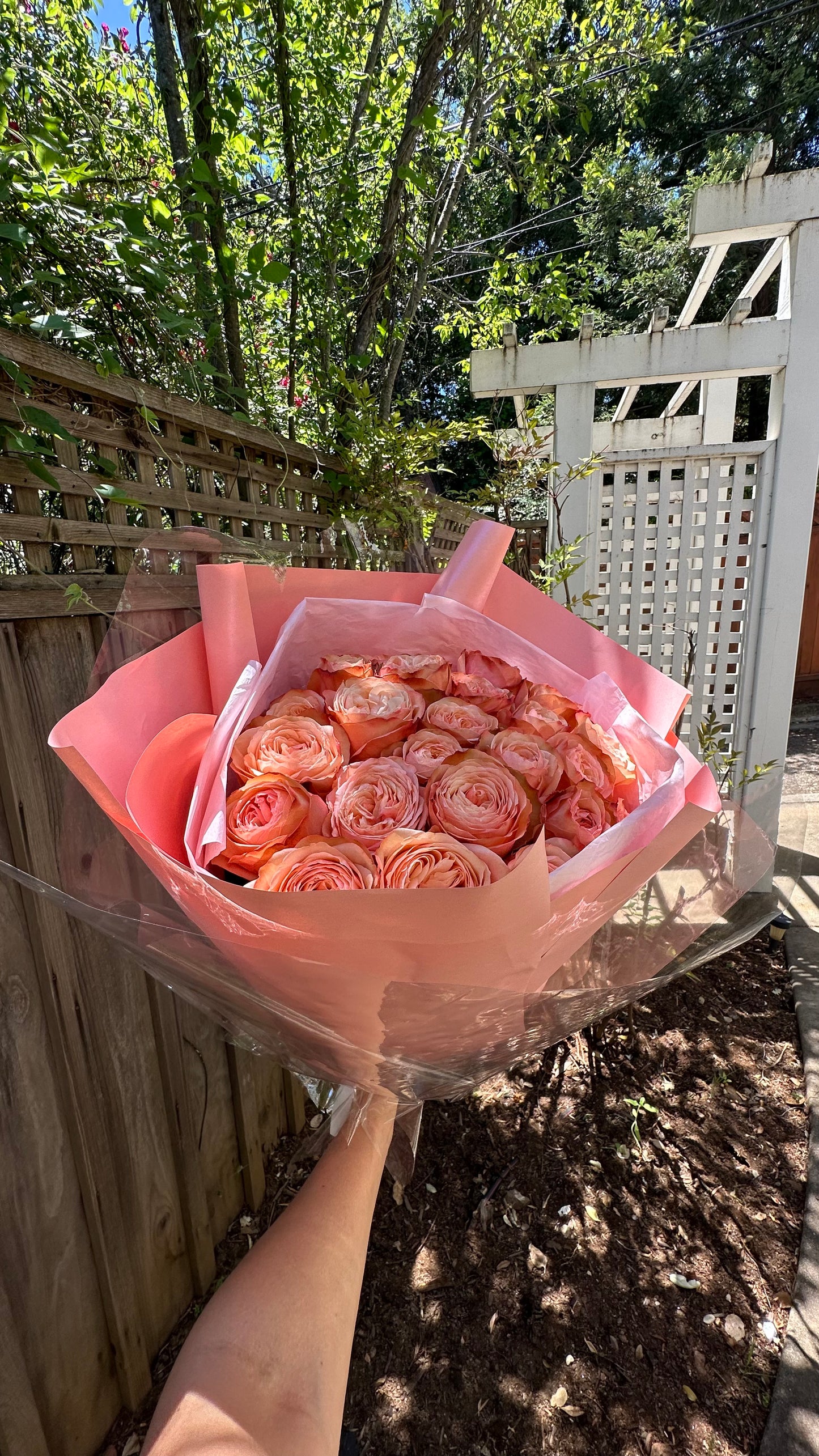 Blush Belle – Garden Rose Bouquet in Shades of Peach | Bay Area Flower Delivery