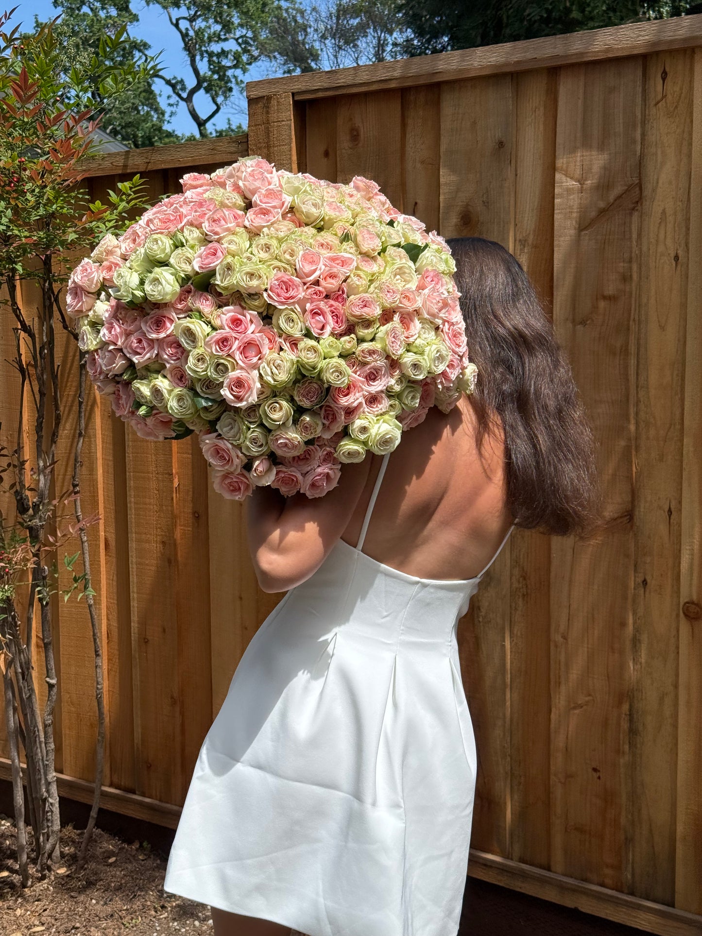 Century Bloom – 100 Spray Roses