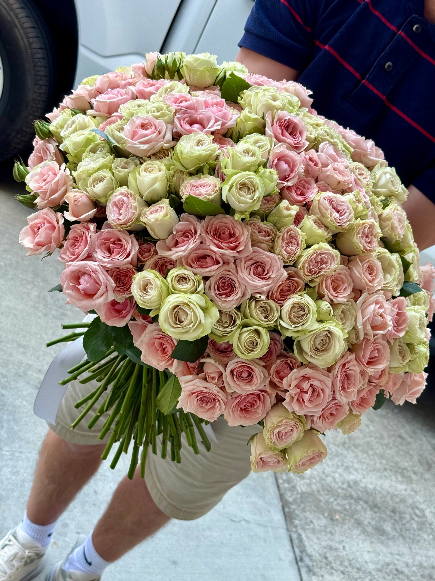 Century Bloom – 100 Spray Roses