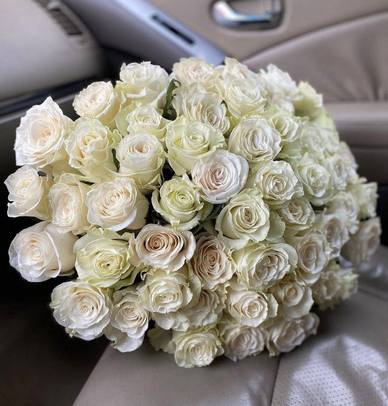 Creamy White Roses